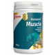 Horsemix Muscle